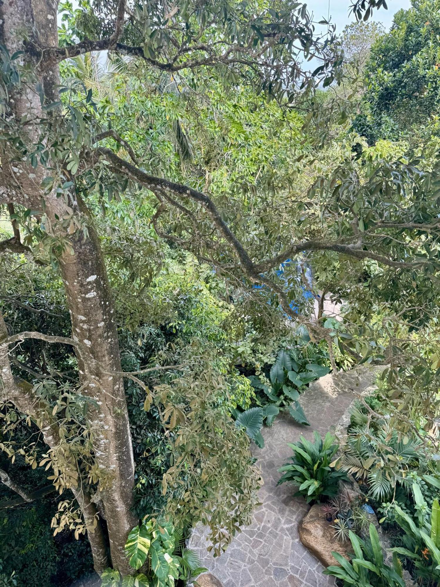 Coastline Mirissa Boutique Hotel And Spa 外观 照片