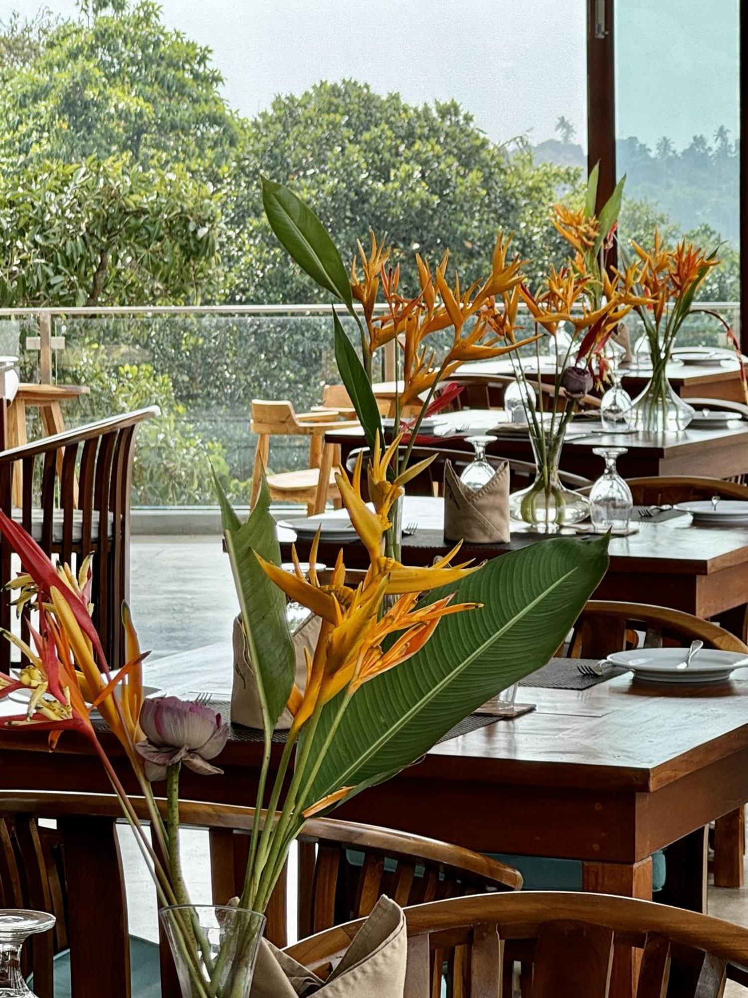 Coastline Mirissa Boutique Hotel And Spa 外观 照片